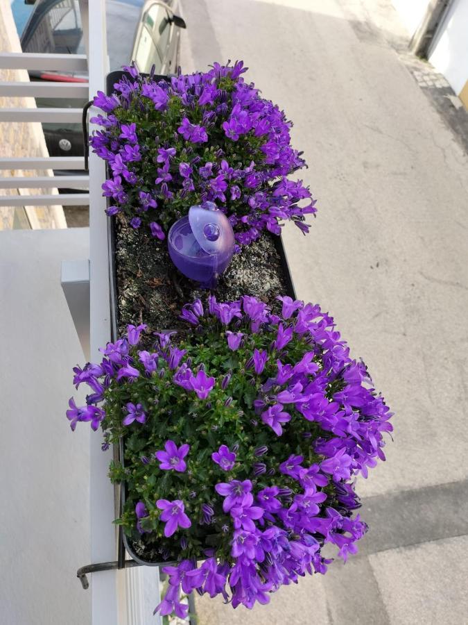 Villa The Violet House Costa Nova Exterior foto
